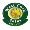 West Cork Bulbs