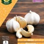 WC BULBS : GARLIC ELEPHANT 3 CLOVES