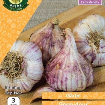 WC BULBS : GARLIC GERMIDOUR 3PK