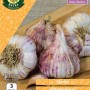 WC BULBS : GARLIC GERMIDOUR 3PK