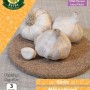 WC BULBS : GARLIC MESSIDROME 3PK