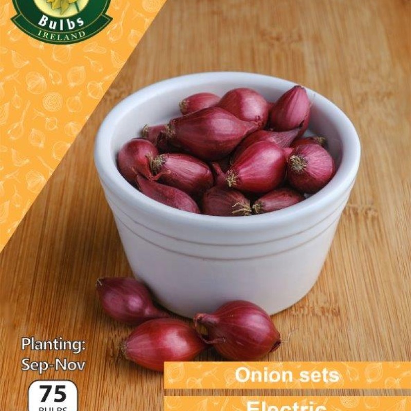 WC BULBS : ONION ELECTRIC 75 BULBS