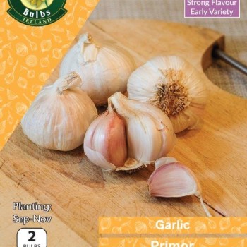 WC BULBS : GARLIC PRIMOR 2PK