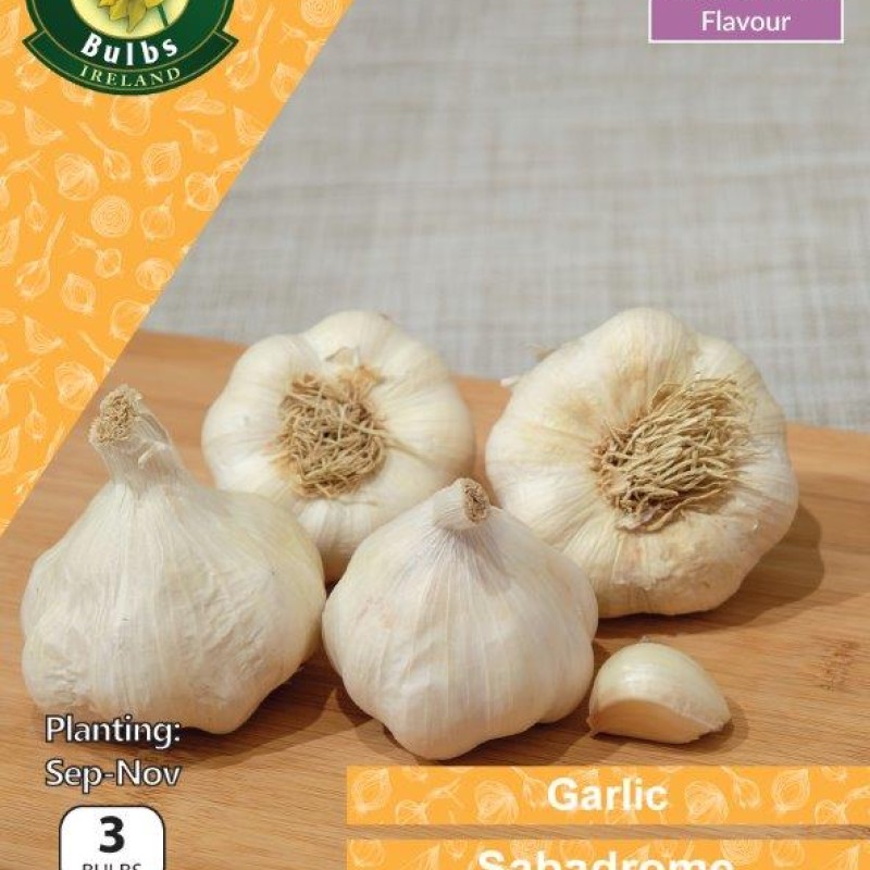WC BULBS : GARLIC SABADROME 3PK