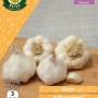 WC BULBS : GARLIC SABADROME 3PK