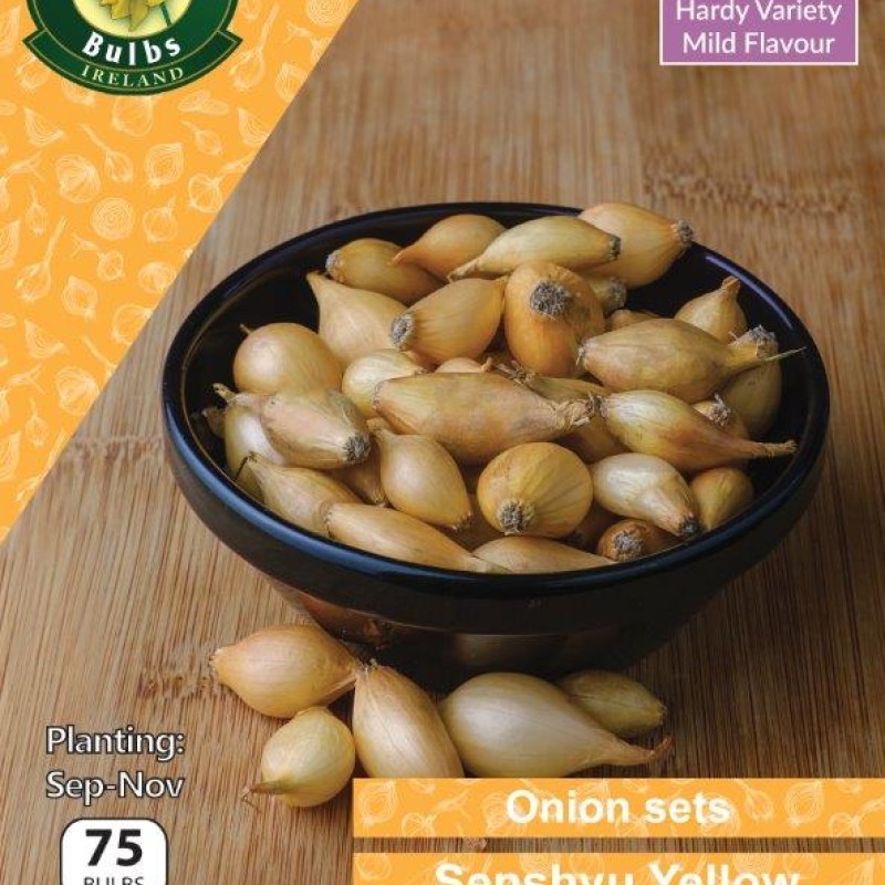 WC BULBS : ONIONS SENSHYU YELLOW 75PK
