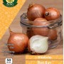 WC BULBS : ONION SET RED SUN X 50 PREPACK