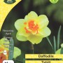 WC BULBS : DAFFODIL 3KG : DOUBLE TAHITI