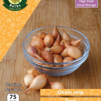 WC BULBS : ONION TROY RED SKIN 75 BULBS