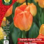 WC BULBS : TULIP SINGLE DARWIN DAY DREAM 25PK