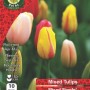 WC BULBS : TULIP SINGLE MIXED 10PK