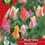 WC BULBS : TULIP MIXED DWARF 10PK