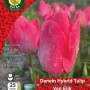 WC BULBS : TULIP SINGLE VAN EIJK 25PK
