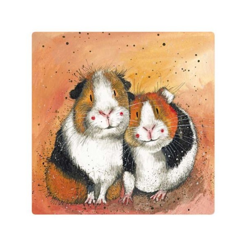 ALEX CLARK: MAGNET - THE GUINEA PIG GUYS