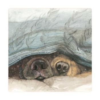 ALEX CLARK: MAGNET - SNOUTS