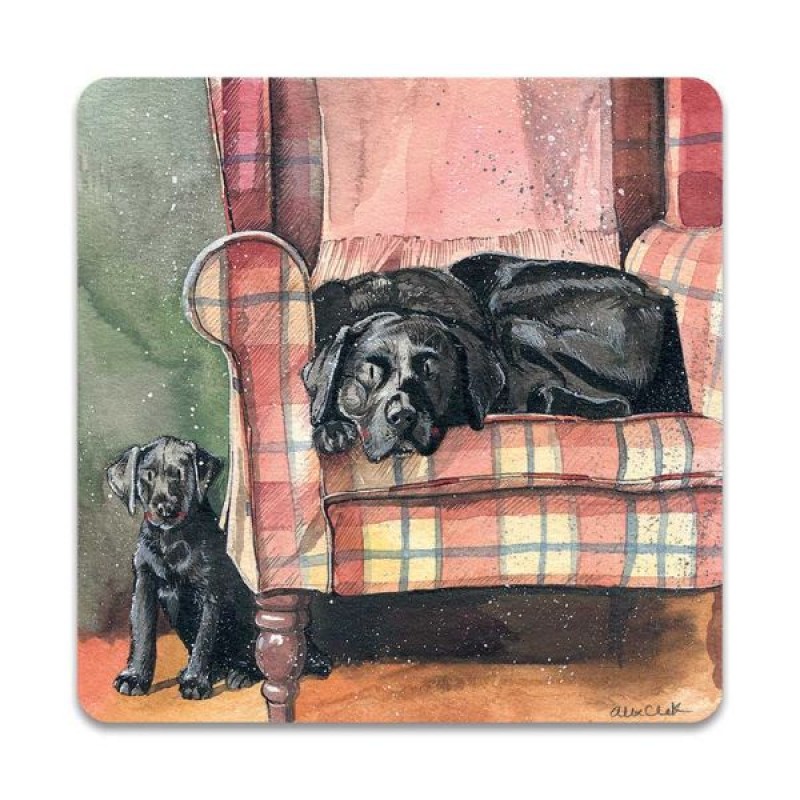 ALEX CLARK: MAGNET - SOPHIE & SCARLET