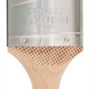 AXUS BRUSH SHORTCUT ULTRA