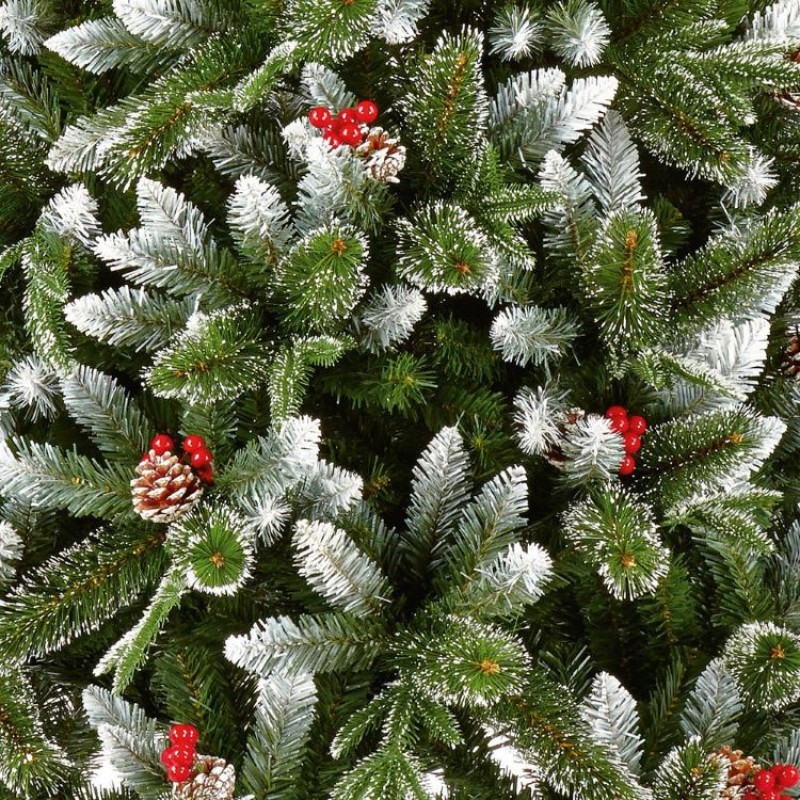 CHRISTMAS TREE : NEW JERSEY SPRUCE - VARIOUS SIZES
