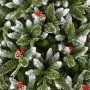 CHRISTMAS TREE : NEW JERSEY SPRUCE - VARIOUS SIZES