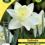 WC BULBS : DAFFODIL 3KG : WHITE MOUNT HOOD
