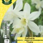 WC BULBS : DAFFODIL TRIANDRUS THALIA 15PK