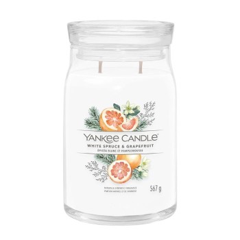 YANKEE : LARGE JAR - WHITE SPRUCE & GRAPEFRUIT