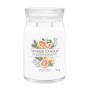 YANKEE : LARGE JAR - WHITE SPRUCE & GRAPEFRUIT