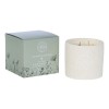 IB : DANDELION & DOCK LEAF VOTIVE