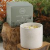 IB : DANDELION & DOCK LEAF VOTIVE