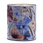 IB : WILD ROSE & STINGING NETTLE TIN