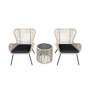 Garden Furniture ALVOR Steel Rattan Set 3pc