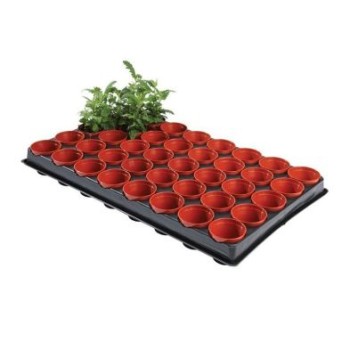 Professional Seed & Cutting Tray 40 Pots