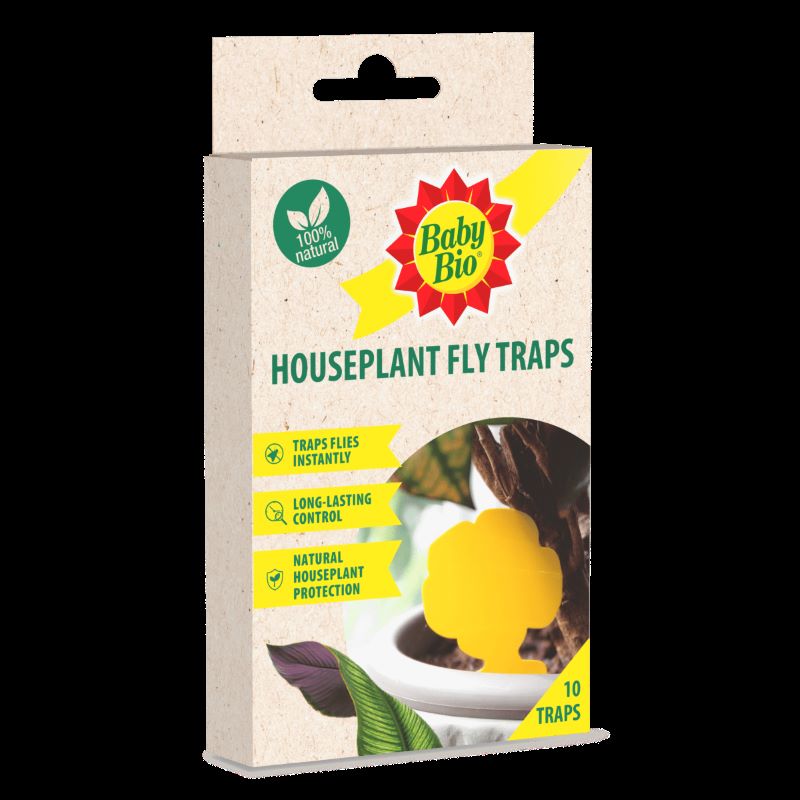 Baby Bio Houseplant Fly Trap 10 Pack