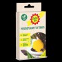 Baby Bio Houseplant Fly Trap 10 Pack