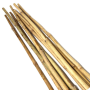 Bamboo Canes 3ft - 10 pack