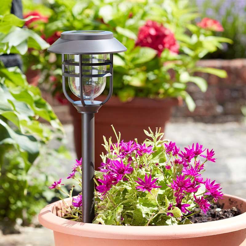 Avant Solar Stake Light 5L