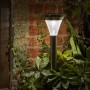 Magnum Solar Light - Stainless Steel 100L