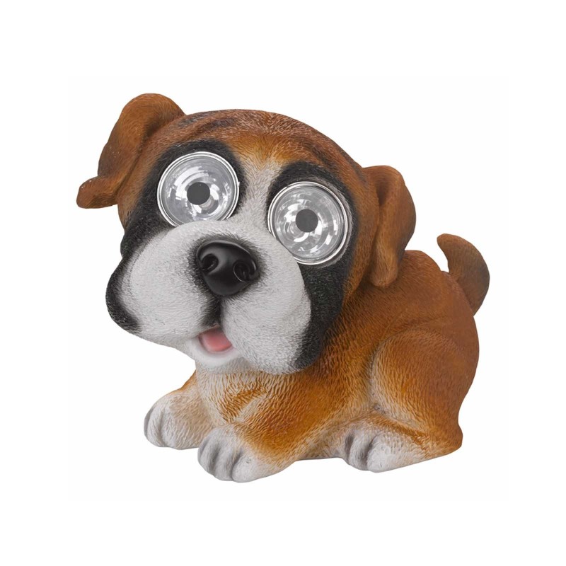 Bright Eye Dog  Solar