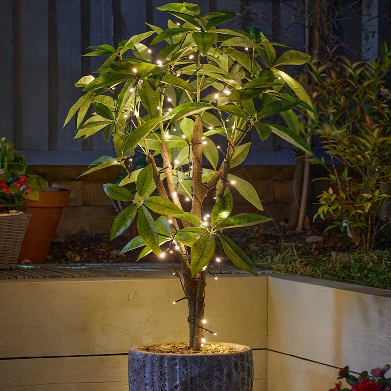 100 Warm White Solar Sting Lights 