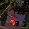 Ladybird Bug Solar Light 