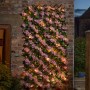 Solar InLit Pink Blossom 180 x 90cm Trellis