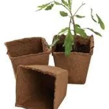 Square Fibre Pots 8cm 12pack