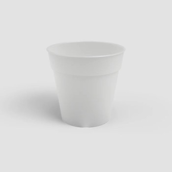 Madagascar Orchid Pot Clear 15cm