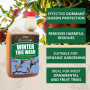 WINTER TREE WASH 500ML