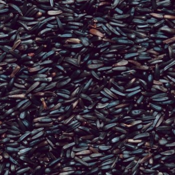 HENRY BELL NYGER SEED 1.8KG