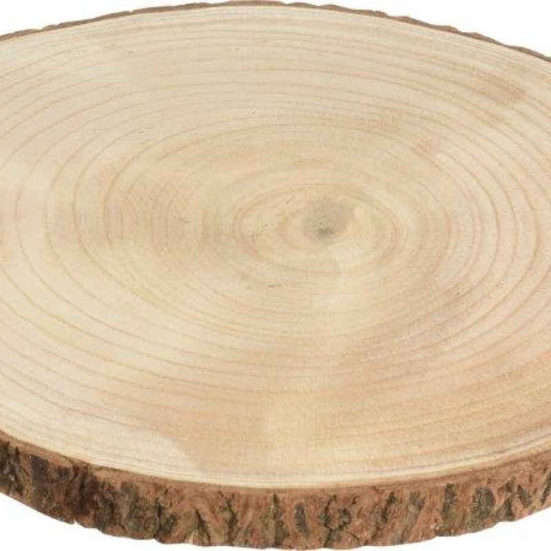 SLICE WITH BARK 25X2CM