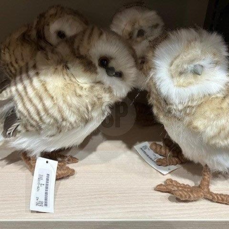 OWL STANDING 23CM ASSORTED BROWN