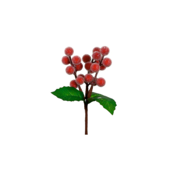 LOTUS: XMAS BERRY PIC RED