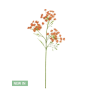 LOTUS: COW PARSLEY SPRAY BURNT ORANGE