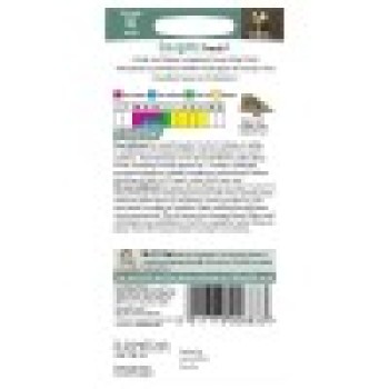 COURGETTE Primula F1